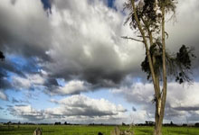 卡塔尔和伊朗的足球对决会有哪些看点？