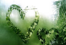 中超最新排名有哪些变化？各队表现背后藏着什么故事？