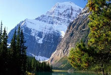 梅西未来去向2天内就见分晓？答案背后藏着哪些关键信息？